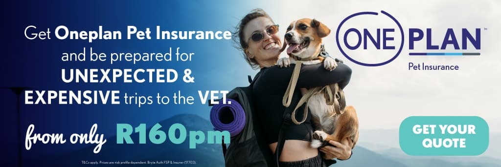 A woman is holding a dog in her arms