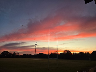 Celebrating Our Learners