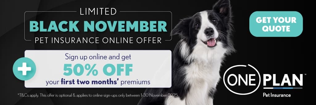 A black and white dog sitting next to a sign