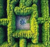 An aerial view of a square shaped garden