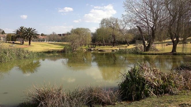 A small pond surrounded by trees and grass