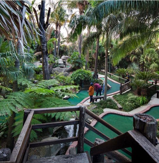A miniature golf course surrounded by palm trees